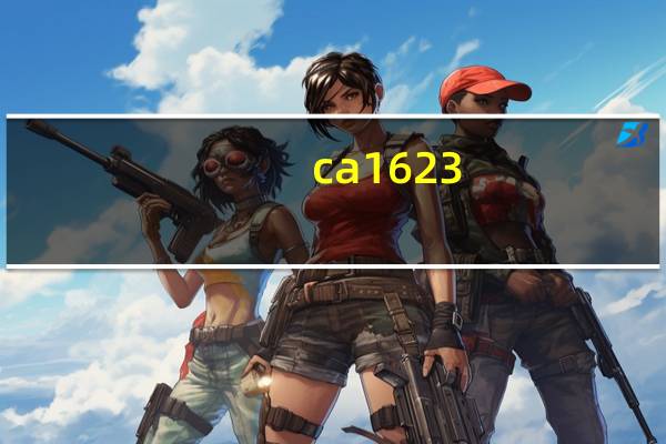 ca1623（CA1613简介）