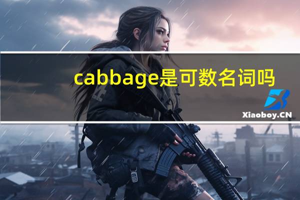 cabbage是可数名词吗