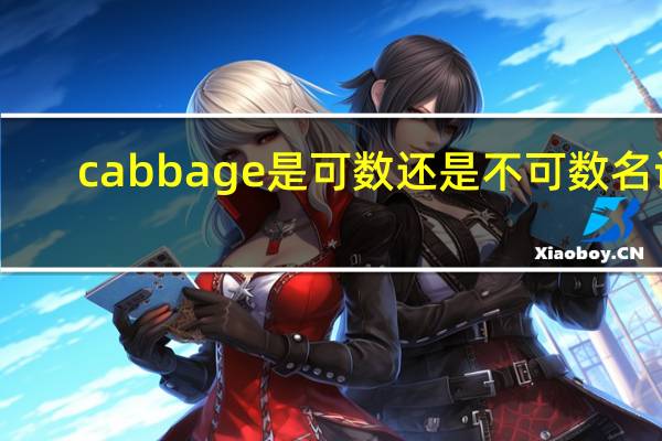 cabbage是可数还是不可数名词