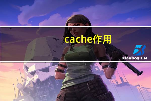 cache作用