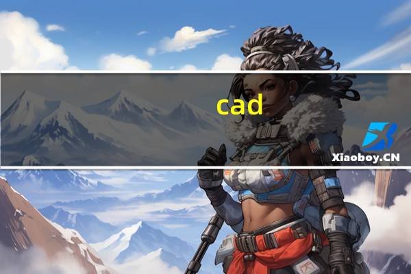 cad 是什么意思