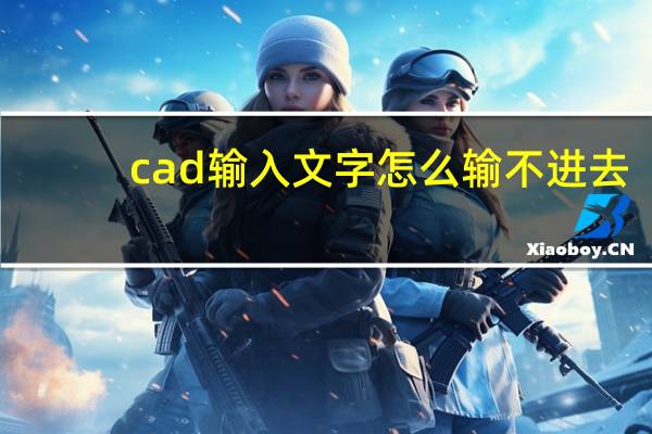 cad输入文字怎么输不进去