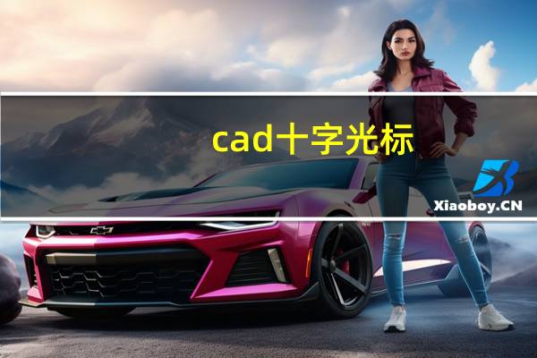 cad十字光标（cad十字光标不见）