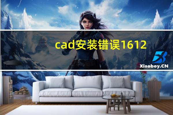 cad安装错误1612