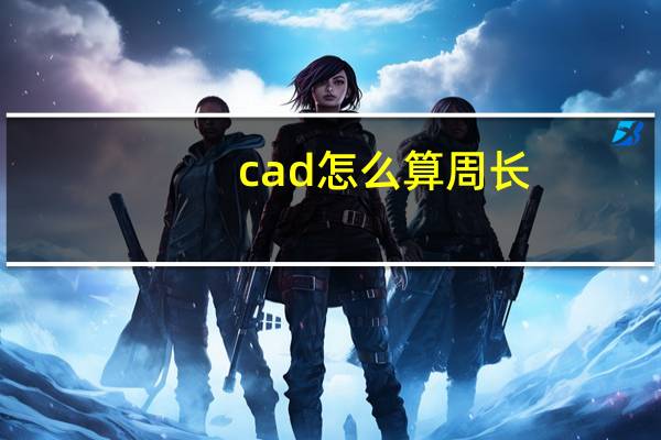 cad怎么算周长
