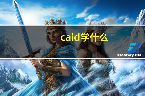 caid学什么