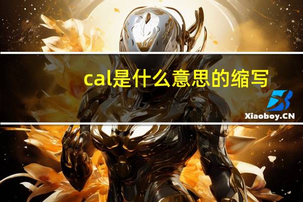 cal是什么意思的缩写