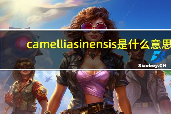 camelliasinensis是什么意思