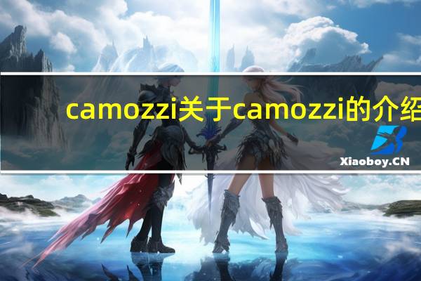 camozzi 关于camozzi的介绍