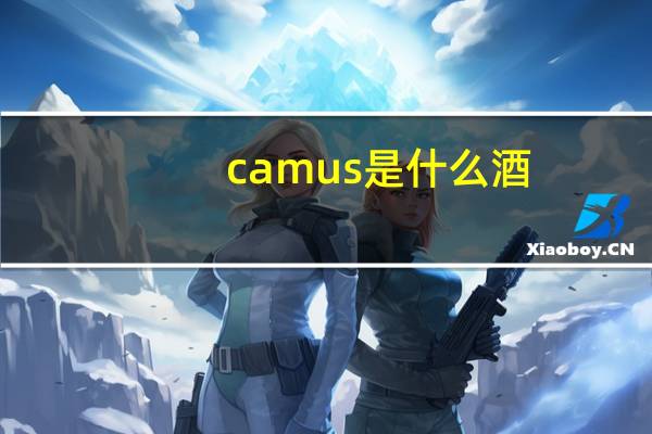 camus是什么酒