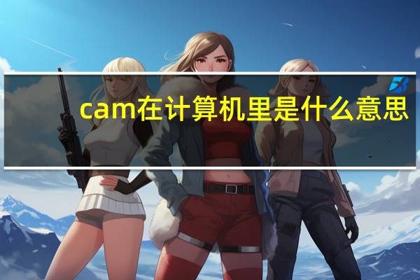 cam在计算机里是什么意思