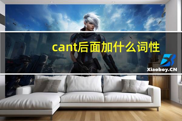 cant后面加什么词性