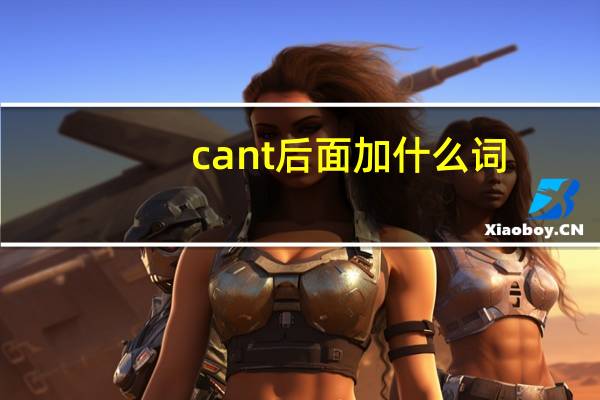 cant后面加什么词