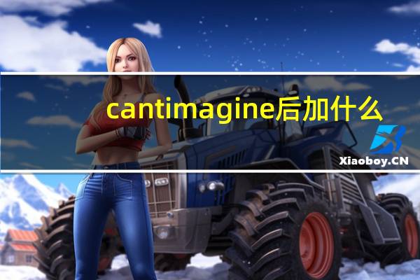 cant imagine后加什么