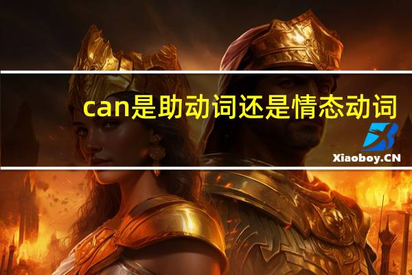 can是助动词还是情态动词