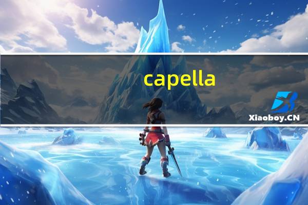 capella(乐谱制作软件) V8.0.10.2 最新免费版（capella(乐谱制作软件) V8.0.10.2 最新免费版功能简介）