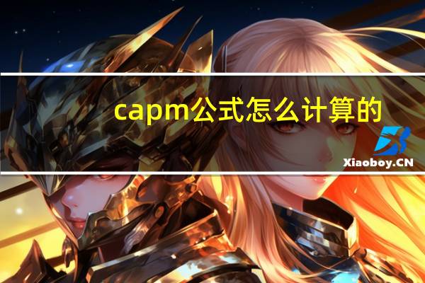 capm公式怎么计算的