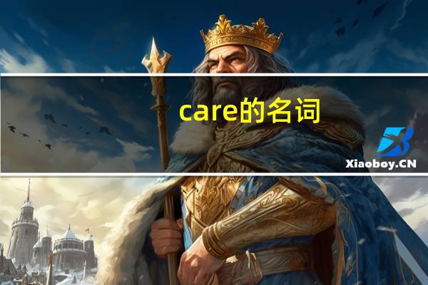 care的名词