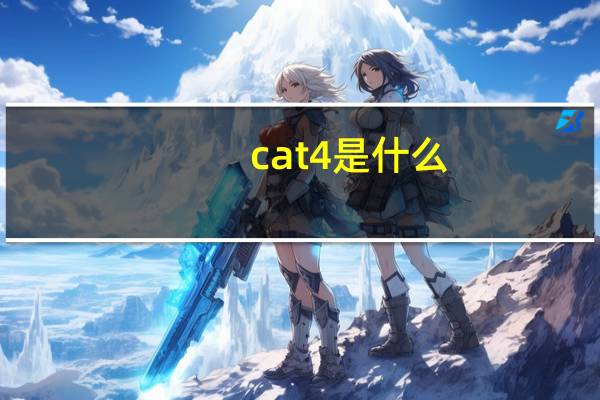 cat4是什么