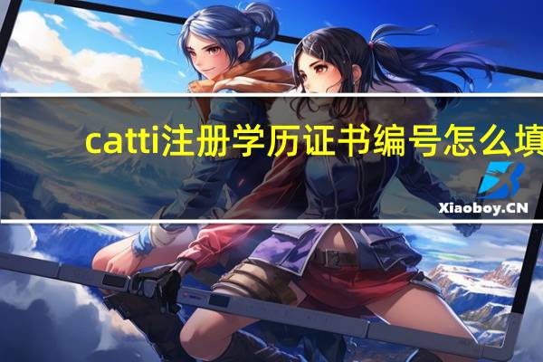 catti注册学历证书编号怎么填