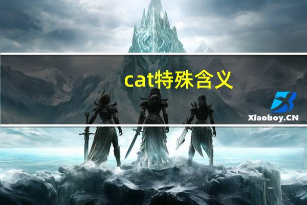 cat特殊含义