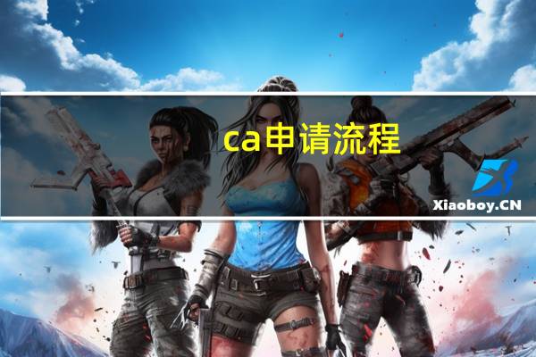 ca申请流程