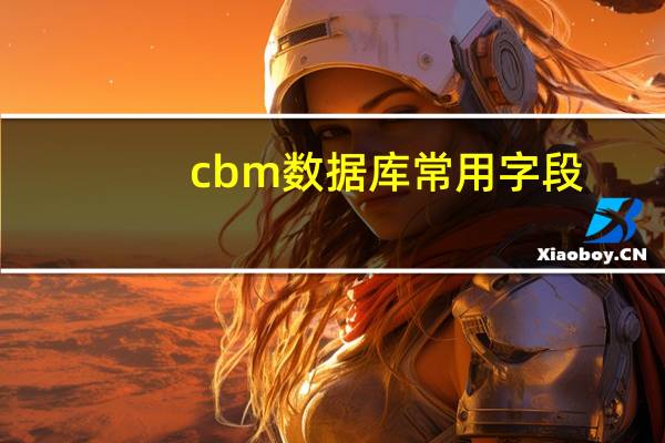 cbm数据库常用字段（cbm数据库）