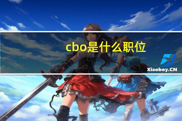 cbo是什么职位