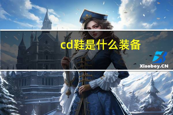cd鞋是什么装备