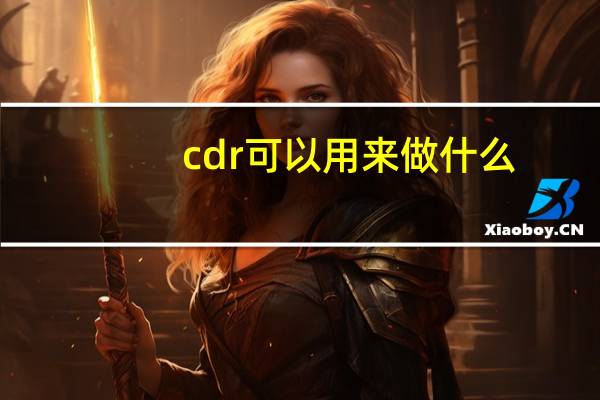 cdr可以用来做什么（cdr是做什么的）