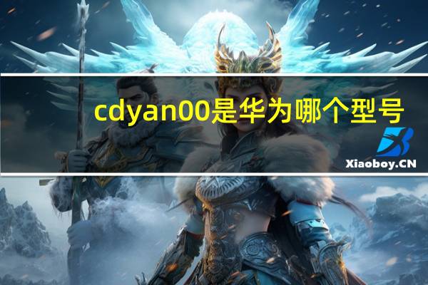 cdyan00是华为哪个型号