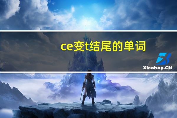 ce变t结尾的单词