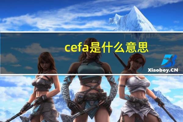 cefa是什么意思