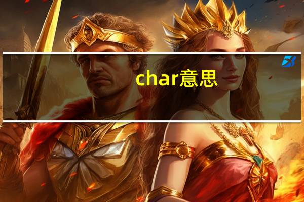 char  意思