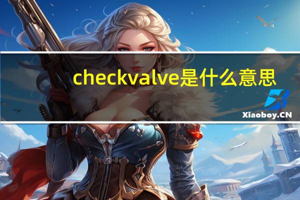 check valve是什么意思（valve是什么意思）