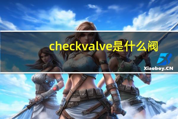check valve是什么阀