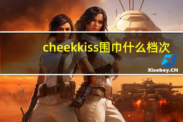 cheekkiss围巾什么档次