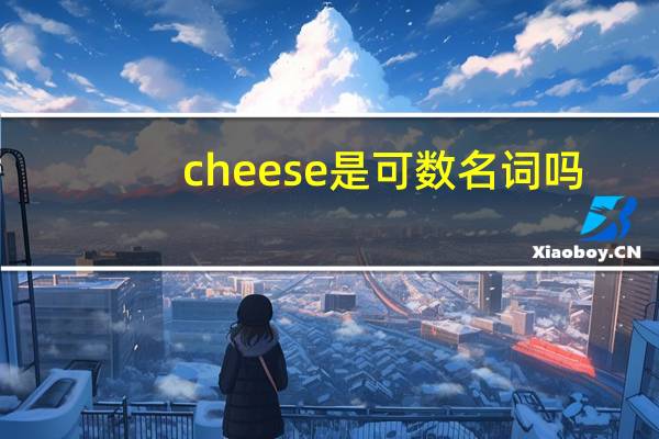 cheese是可数名词吗
