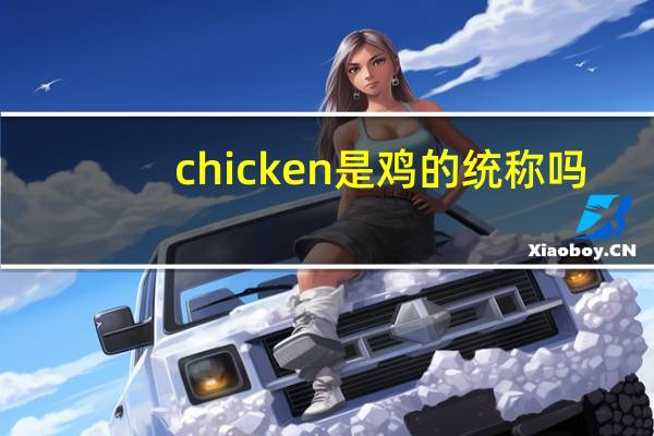 chicken是鸡的统称吗
