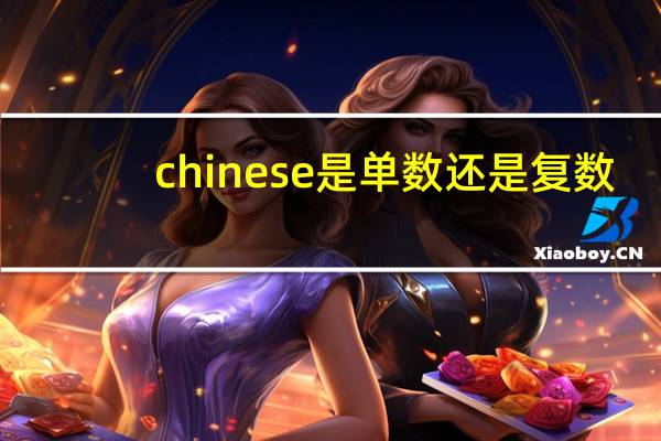 chinese是单数还是复数