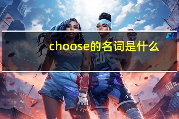 choose的名词是什么