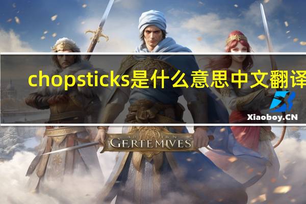 chopsticks是什么意思中文翻译成