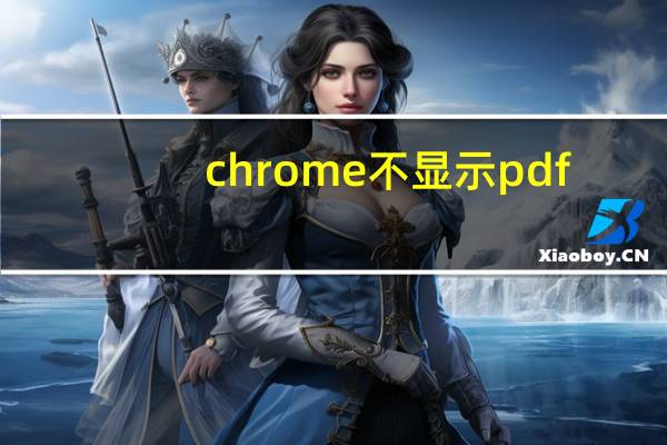 chrome不显示pdf