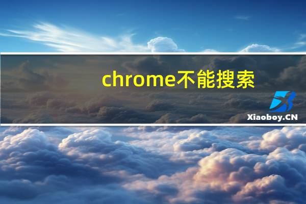 chrome不能搜索