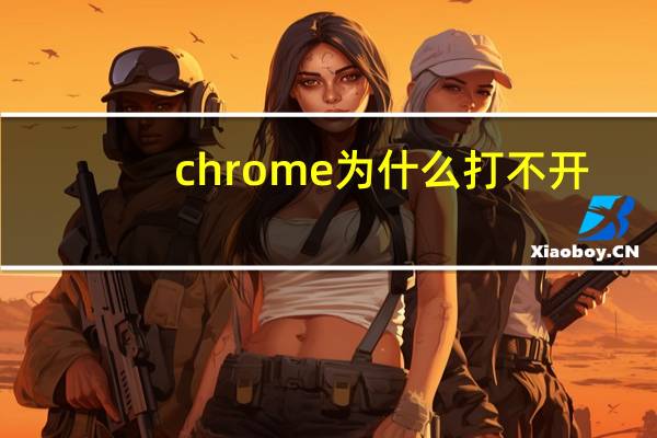 chrome为什么打不开