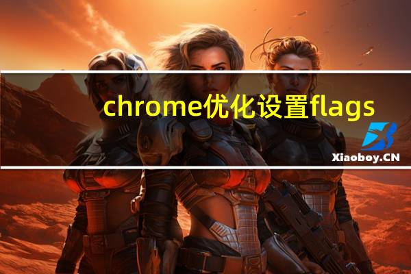 chrome优化设置flags