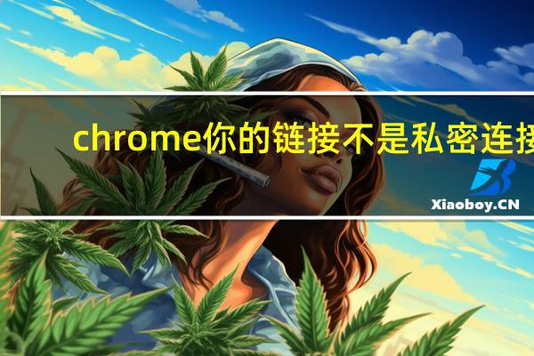 chrome你的链接不是私密连接