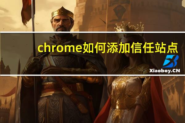 chrome如何添加信任站点