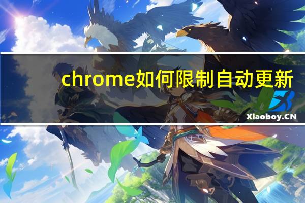 chrome如何限制自动更新