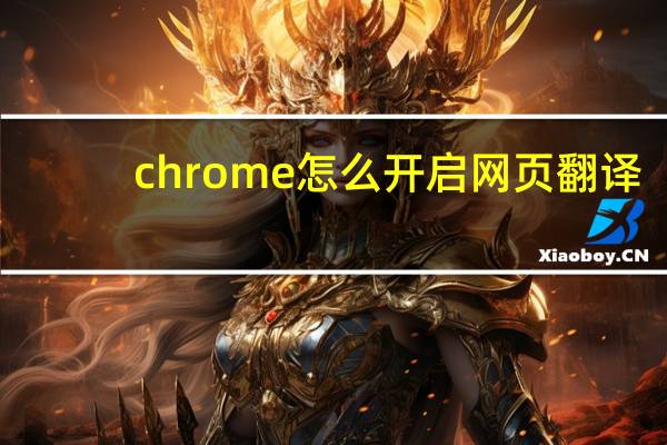 chrome怎么开启网页翻译